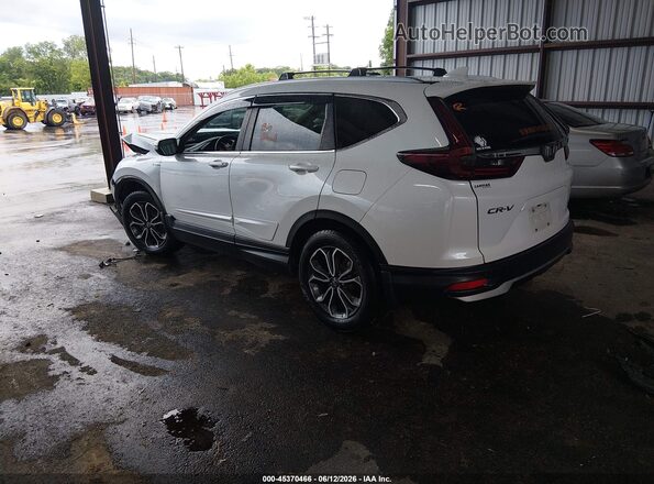 7FART6H51LE004635 2020 HONDA CR-V White უკანა მარცხენა