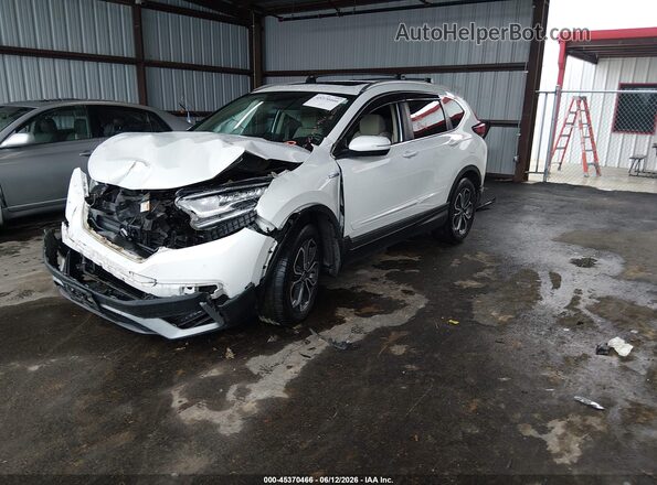 7FART6H51LE004635 2020 HONDA CR-V White წინა მარცხენა ხედი სამი მეოთხედიდან