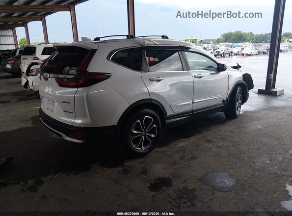 7FART6H51LE004635 2020 HONDA CR-V White უკანა მარჯვენა