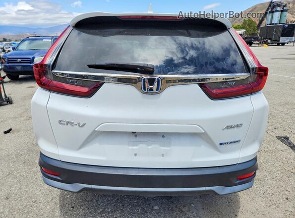 7FART6H54LE016083 2020 HONDA CR-V White Հետևի տեսք