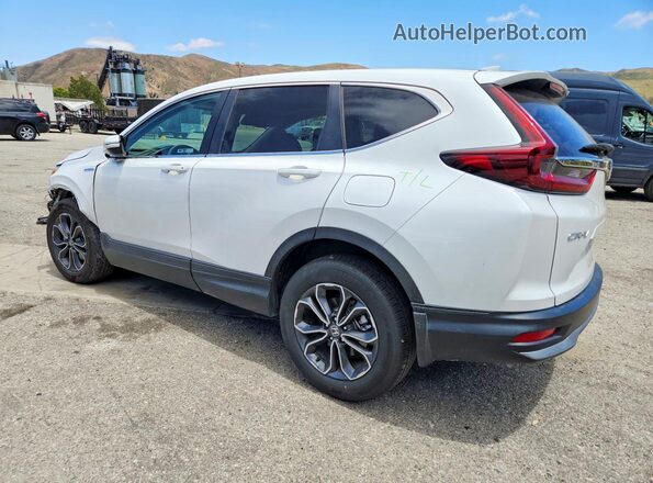 7FART6H54LE016083 2020 HONDA CR-V White Հետևի ձախ