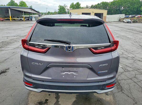 7FART6H82ME037414 2021 HONDA CR-V Gray Вид ззаду