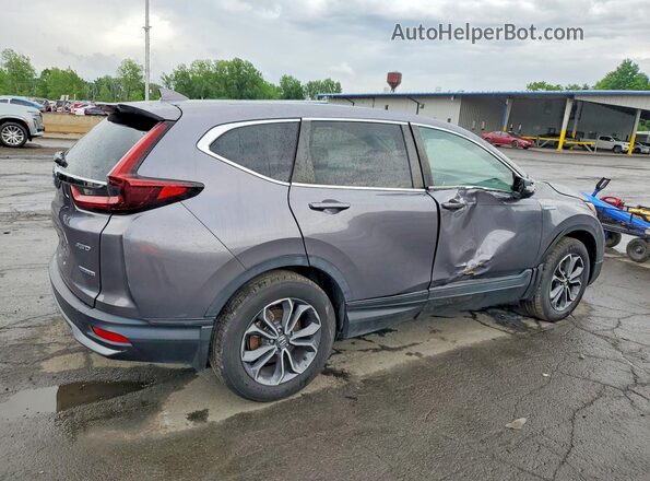 7FART6H82ME037414 2021 HONDA CR-V Gray Задня права чверть