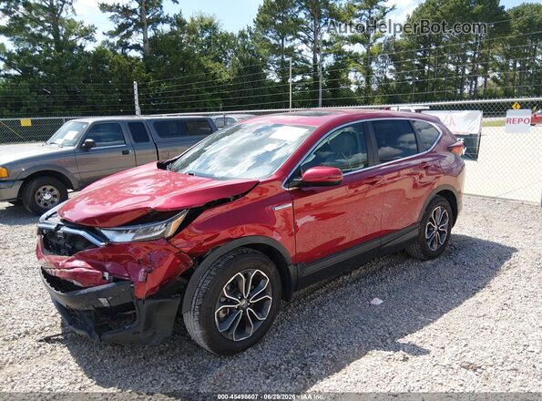 7FART6H8XLE015675 2020 HONDA CR-V Red Передня ліва чверть