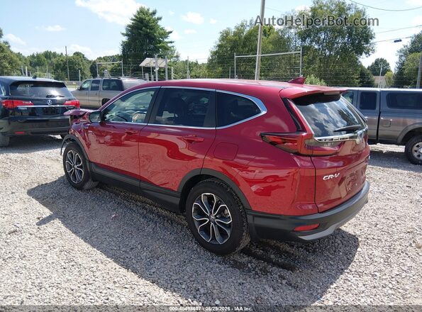 7FART6H8XLE015675 2020 HONDA CR-V Red Задня ліва чверть