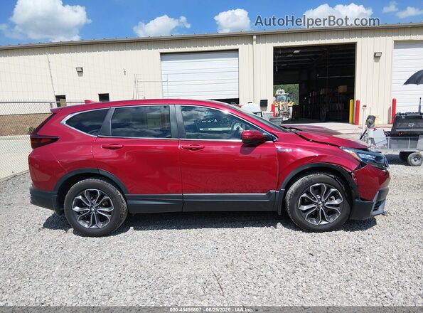 7FART6H8XLE015675 2020 HONDA CR-V Red Вид задньої частини салону