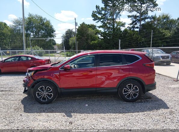 7FART6H8XLE015675 2020 HONDA CR-V Red Панорамний вид салону 360°
