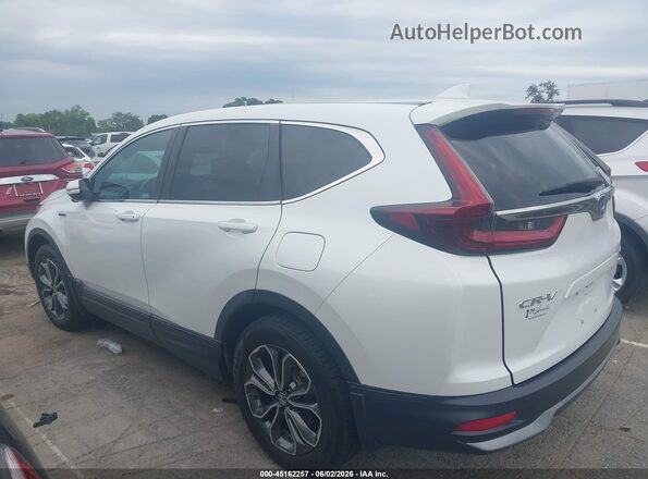 7FART6H8XLE027308 2020 HONDA CR-V White Widok wnętrza 360 stopni