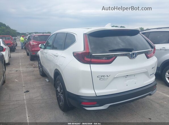 7FART6H8XLE027308 2020 HONDA CR-V White Tył lewy