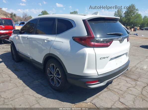 7FARW1H51LE019887 2020 HONDA CR-V White Задня ліва чверть