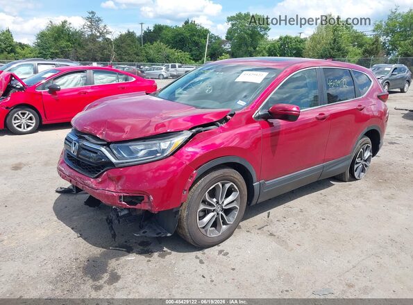 7FARW1H53ME014496 2021 HONDA CR-V Red Առջևի ձախ երեք քառորդ տեսարան