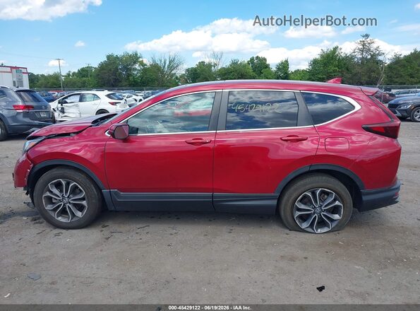 7FARW1H53ME014496 2021 HONDA CR-V Red Սալոնի 360 աստիճան տեսք