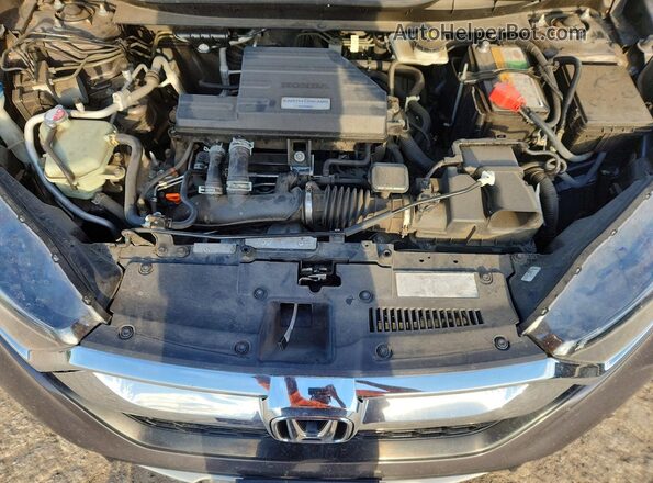 7FARW1H54HE043723 2017 HONDA CR-V Gray Սալոնի հետևի տեսք