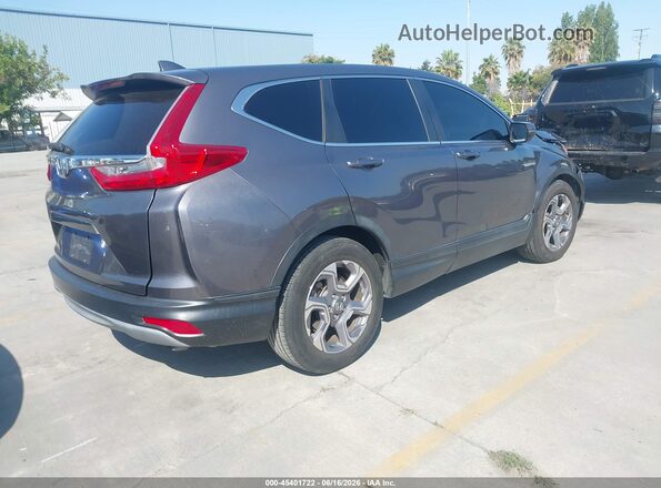 7FARW1H55KE031376 2019 HONDA CR-V Gray Задня права чверть