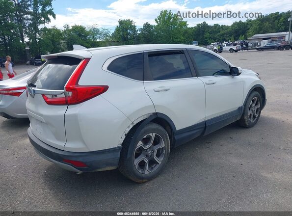 7FARW1H58KE019691 2019 HONDA CR-V White Trasero derecho