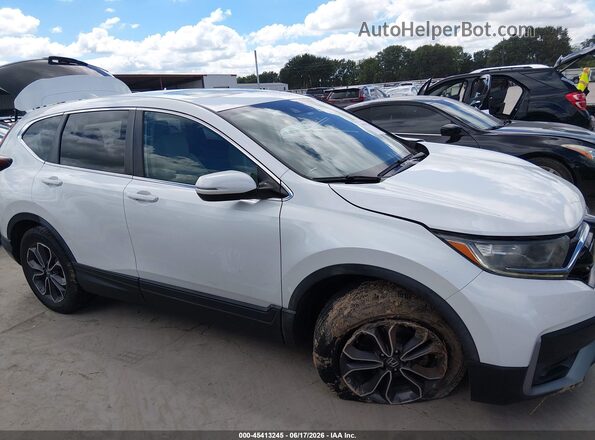 7FARW1H58LE011723 2020 HONDA CR-V White Սալոնի հետևի տեսք