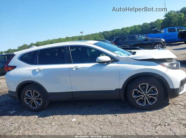 7FARW1H83ME000625 2021 HONDA CR-V White უკანა სალონის ხედი