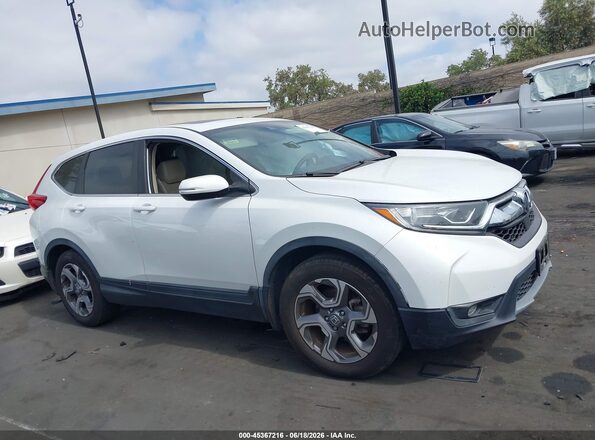 7FARW1H87KE031843 2019 HONDA CR-V White Widok wnętrza z tyłu