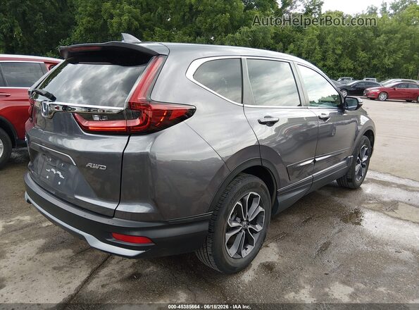7FARW2H53LE005429 2020 HONDA CR-V Gray Rear right