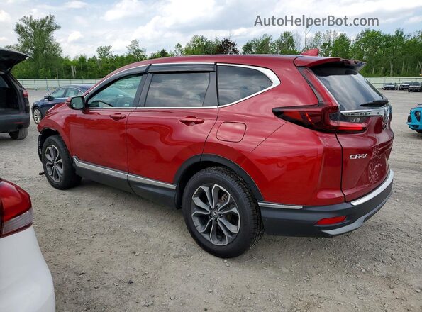 7FARW2H55NE019058 2022 HONDA CR-V Red უკანა მარცხენა