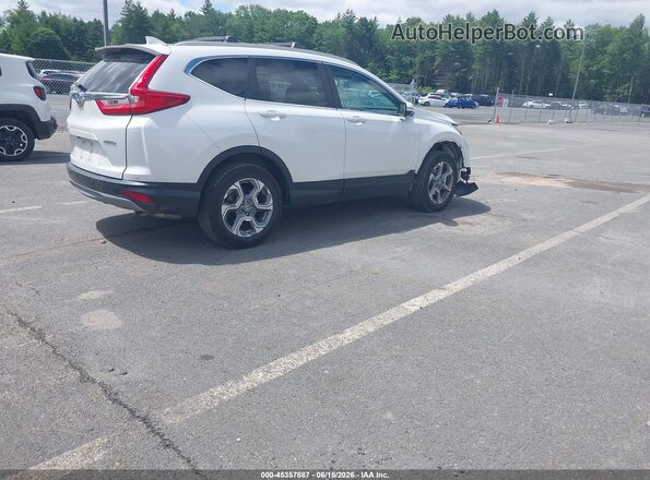 7FARW2H82KE053416 2019 HONDA CR-V White უკანა მარჯვენა