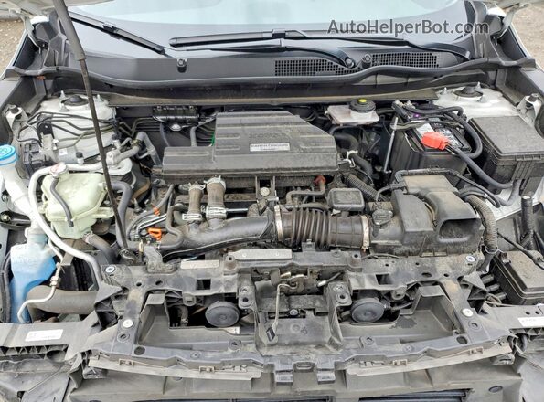 7FARW2H8XKE064504 2019 HONDA CR-V White 