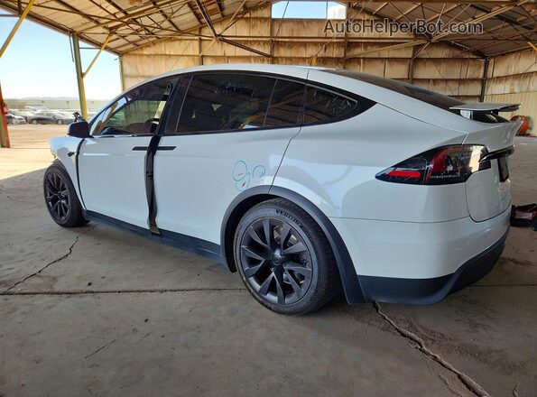 7SAXCAE56RF435431 2024 TESLA MODEL Белый 