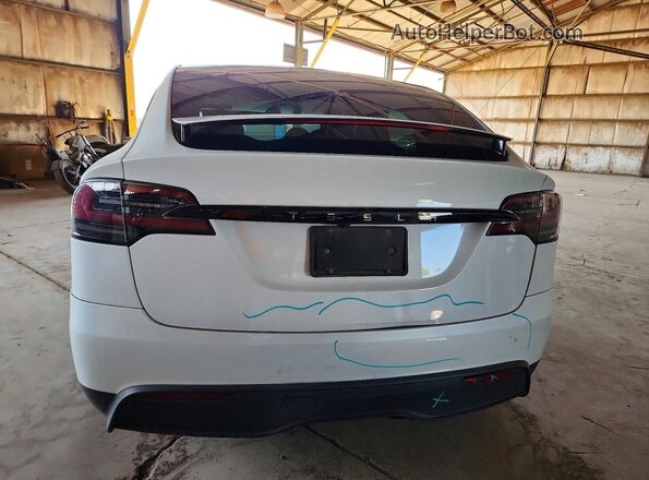 7SAXCAE56RF435431 2024 TESLA MODEL Белый 