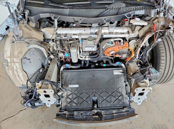 7SAXCAE56RF435431 2024 TESLA MODEL Белый 