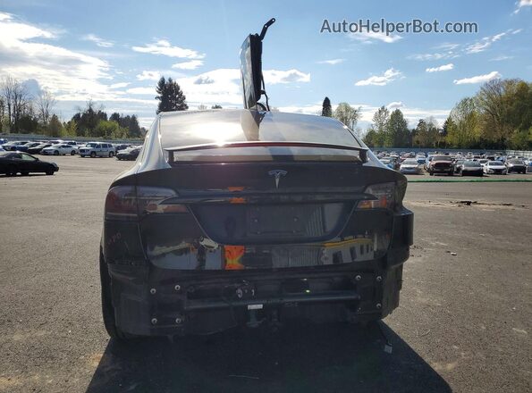 7SAXCAE5XPF367356 2023 TESLA MODEL Black Rear view