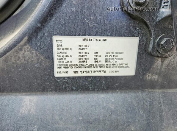 7SAYGAEE1PF978790 2023 TESLA MODEL Серый 