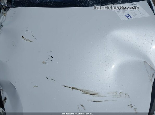 7SAYGAEE4PF757796 2023 TESLA MODEL Y Белый Вид сзади