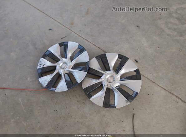 7SAYGAEE4PF827006 2023 TESLA MODEL Y White Вид ззаду
