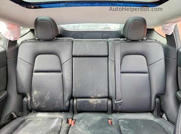 7SAYGAEE8RF009667 2024 TESLA MODEL Blue Widok tylnych siedzeń