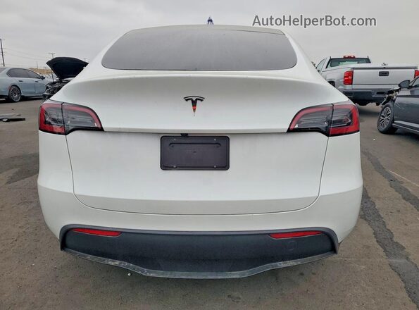 7SAYGDED0SF242568 2025 TESLA MODEL Белый Вид сзади