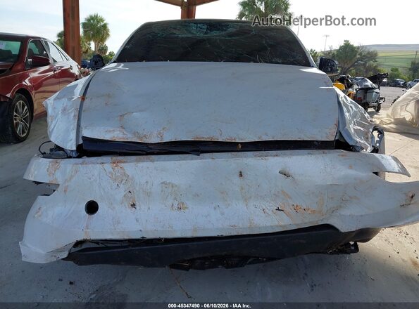 7SAYGDED4TA690987 2026 TESLA MODEL Y White Widok z przodu