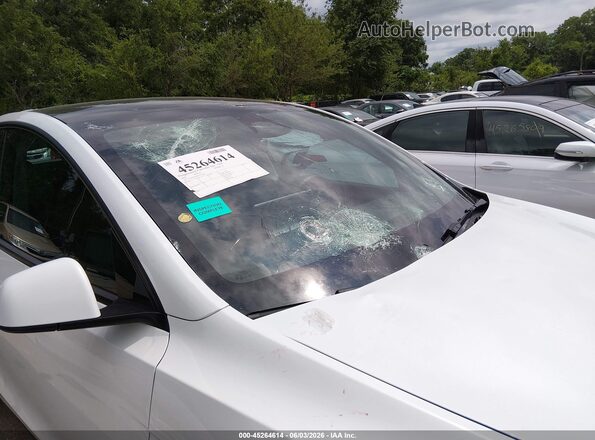7SAYGDED7SA373669 2025 TESLA MODEL Y Белый 