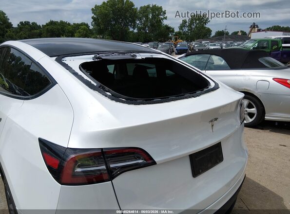 7SAYGDED7SA373669 2025 TESLA MODEL Y Белый 