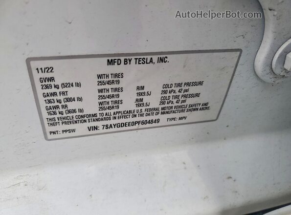 7SAYGDEE0PF604849 2023 TESLA MODEL Белый 