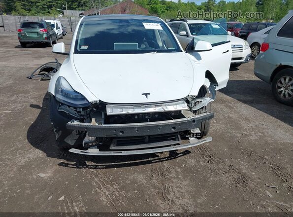 7SAYGDEE1PA033496 2023 TESLA MODEL Y White Front view
