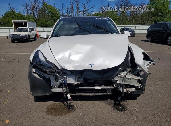 7SAYGDEE3PA196358 2023 TESLA MODEL White 