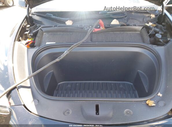 7SAYGDEE3PF597024 2023 TESLA MODEL Y Black Rear view