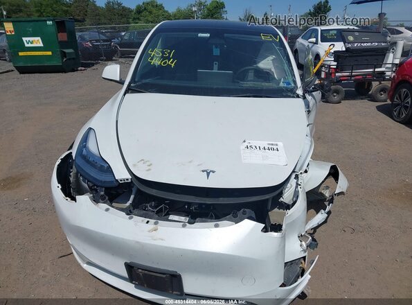 7SAYGDEE3PF610709 2023 TESLA MODEL Y White 