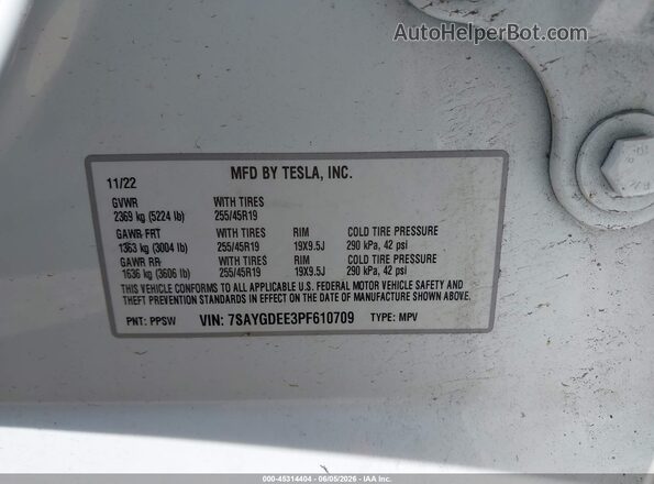 7SAYGDEE3PF610709 2023 TESLA MODEL Y White 