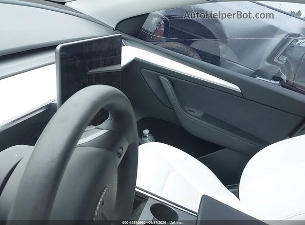 7SAYGDEE3PF868339 2023 TESLA MODEL Y Black 