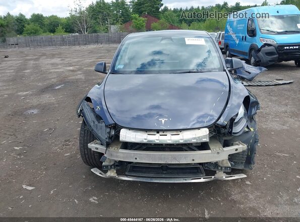 7SAYGDEE3PF904059 2023 TESLA MODEL Y Серый Вид задней части салона