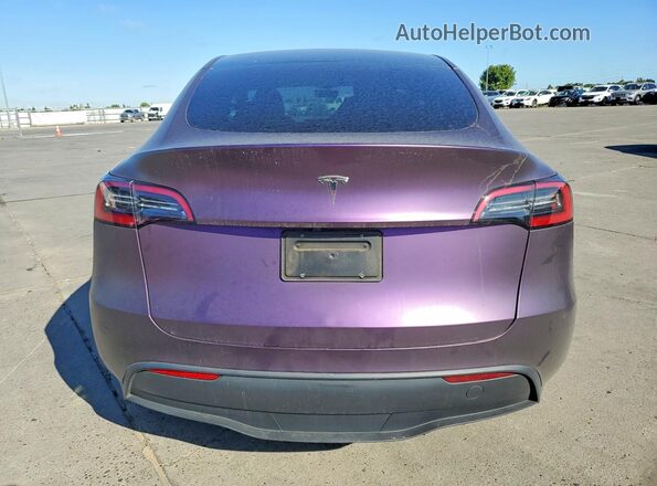 7SAYGDEE4PA158198 2023 TESLA MODEL Фиолетовый Вид сзади
