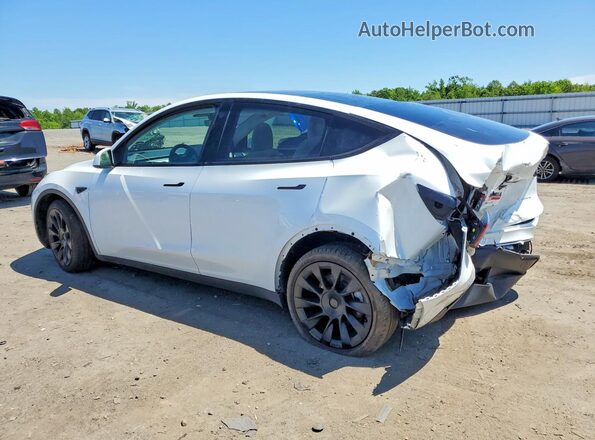 7SAYGDEE5PF593427 2023 TESLA MODEL White 