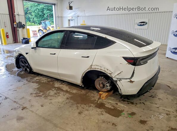 7SAYGDEE5TA415007 2026 TESLA OTHER White Задня ліва чверть