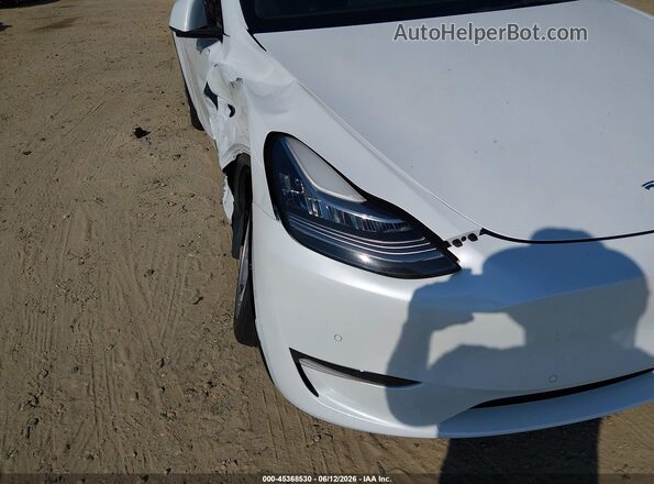 7SAYGDEE7PA024656 2023 TESLA MODEL Y White 